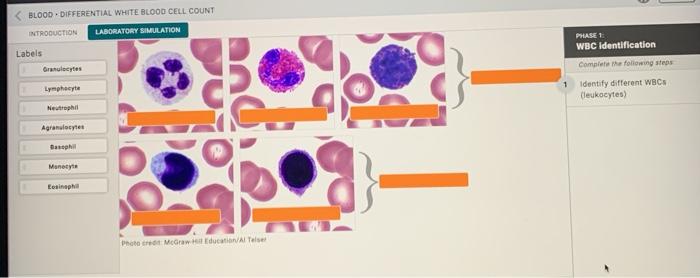 Blood count cell